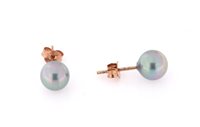 Orecchini Forever Gioielli Donna Orecchini Argento in Argento Perla FGOR00315 - FGOR00315